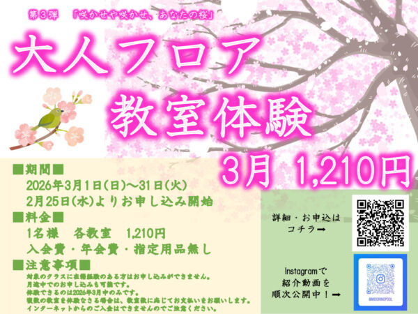 2026.3　体験キャンペーン　横POPのサムネイル